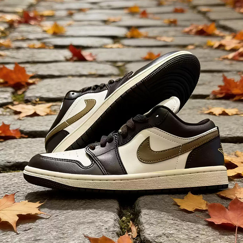 Nike Jordan Air Jordan 1 Low W – Women Shoes Jordan recenzja i cena